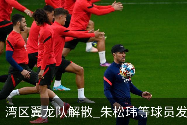 湾区翼龙队解散 朱松玮等球员发布声明维权